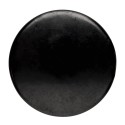 Tumbled Shungit flat 5cm