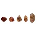 Orbicular Agate cabochon