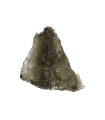 Moldavite Petite (1-1.9gr)