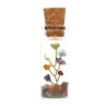Bottle with Chakra Tree