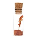 Botellita con Árbol de Cornalia