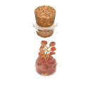 Botellita con Árbol de Cornalia