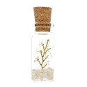 Bottle with Quartz Tree