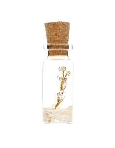 Bottle with Quartz Tree 2