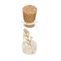Bottle with Quartz Tree
