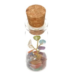 Bouteille avec arbre des chakras