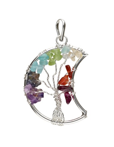 Moon with Tree of Life Chakra Silver...