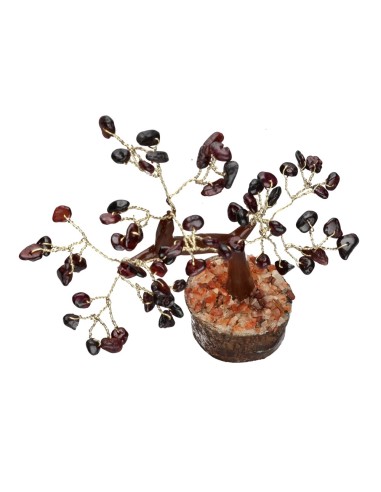 Albero di Melograno Mini con Base di...