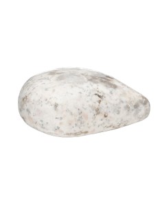 Cœur de Scolecite 2