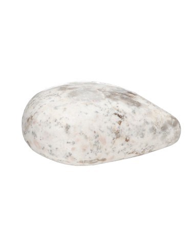 Corazón de Escolecita