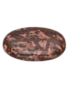 Flat Rolled Leopard Jasper 2