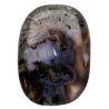 Tumbled Moss Agate Plan
