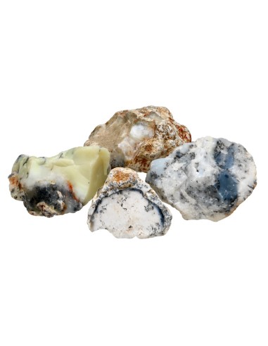 Rough Dendrite Opal