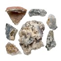 Fleur d'améthyste (Pack 500gr)