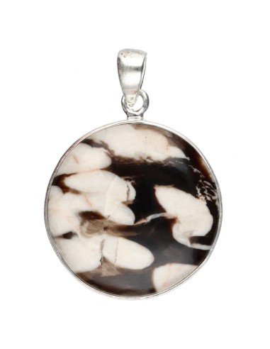 Pendentif Jaspe cacahuète en argent...