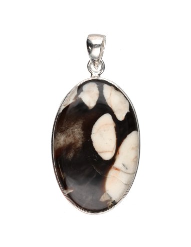 Pendentif Jaspe cacahuète en argent...