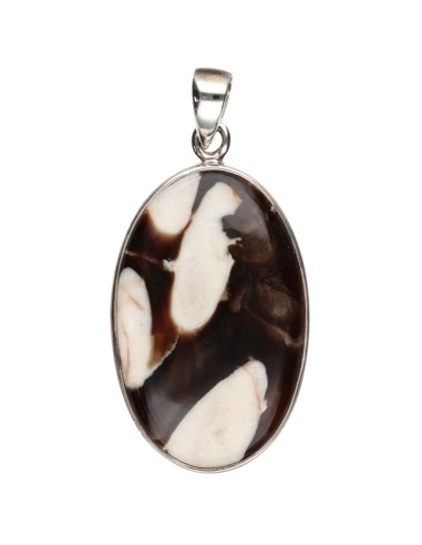 Pendentif Jaspe cacahuète en argent...