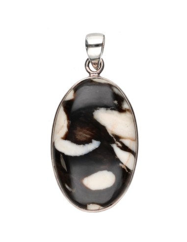 Pendentif Jaspe cacahuète en argent...