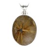 Pendente in Quarzo Rutilato in Argento Sterling 925 (19S)