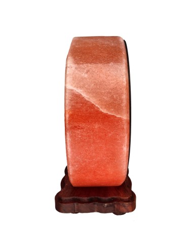 Tree of Life Heart Salt Lamp