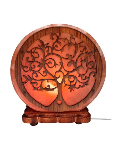 Lampe à sel en forme de coeur de...