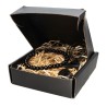 Zodiac Capricorn - Onyx Zodiac Box Pack