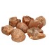 Rough Carnelian