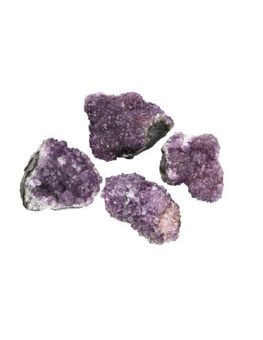 Drusa Piña de Amatsita Uruguay