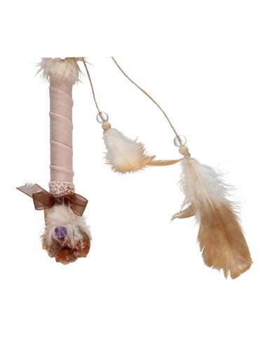 Amethyst Chevron and Aragonite Power...