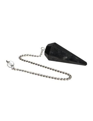 Faceted Shungite Pendulum