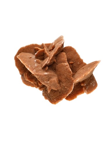 Rosa del deserto (Il prezzo è al kg)