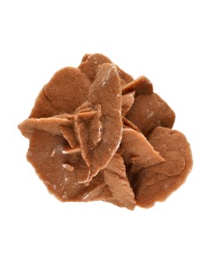 Rosa del deserto (Il prezzo...