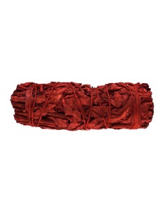 Salvia Sangre de Dragon 2