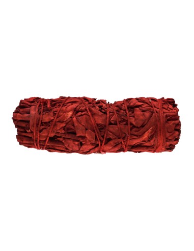 Salvia Sangre de Dragon