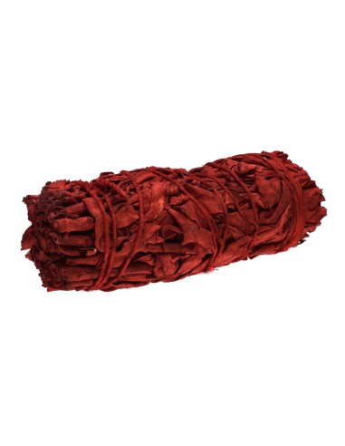 Salvia Sangue di Drago