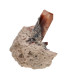 Topacio Imperial Drusa (11T)