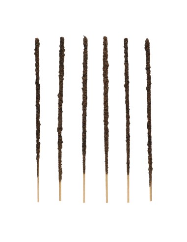 Incensio Patagonia Tilo - Sagrada Madre