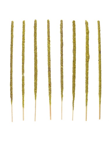 Incensio Cosmos Sol - Sagrada Madre