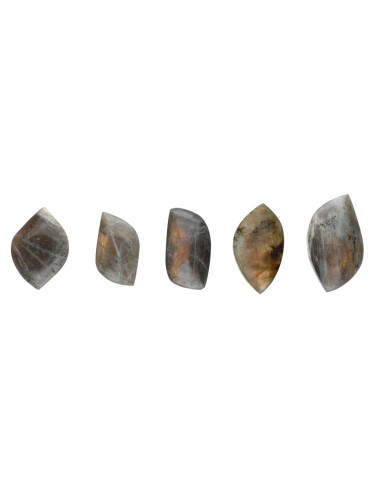 Cabujón de Labradorita  (Pack 20gr)