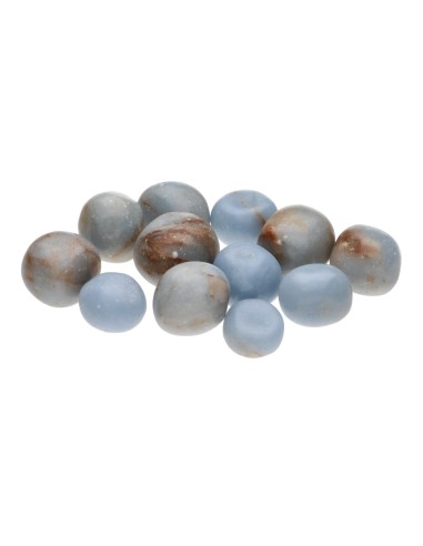 La prise de vue d'Angelita