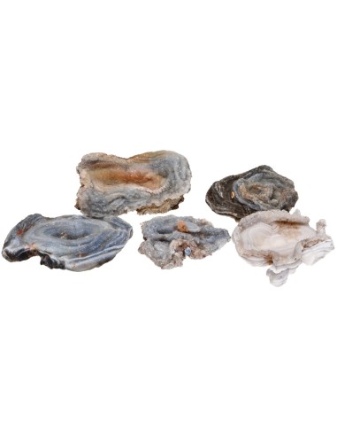 Calcédoine cristallisée brute 20-29gr