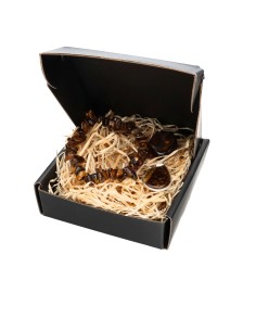 Gemini Zodiac Box Pack -...