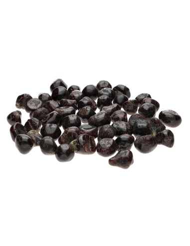 Rodados de Granate T-2