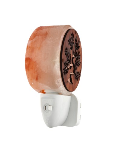 Bonsai Salt Lamp with Socket