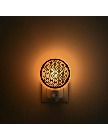 Lampe de sel Fleur de vie avec douille