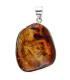 Amber Pendant in Sterling Silver 925 (13T)