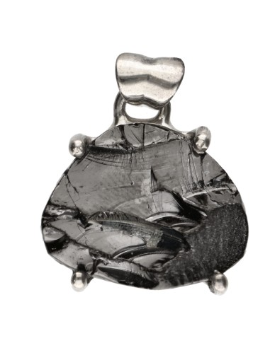 Pendentif en Shungite Cristallisée en...