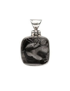 Ciondolo di Shungite...
