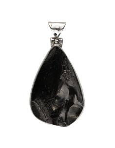 Shungite Pendant...