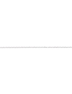 Catena 45cm in Argento...